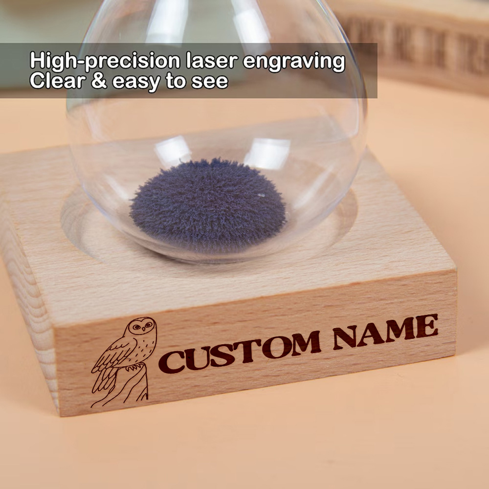 Outdoor Furniture Wooden - 1pc Funny bird Custom Name Personalized